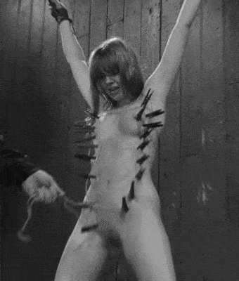 gif BDSM shibari
