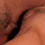 Gifs lesbiens : top 40 chauds 2026