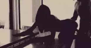 Gifs levrette : 80 gifs ultra chauds 2026