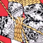shibari bondage différences — image à la une shibari bondage différences — image à la une