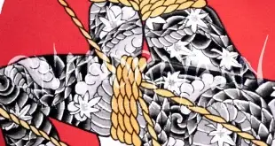 shibari bondage différences — image à la une